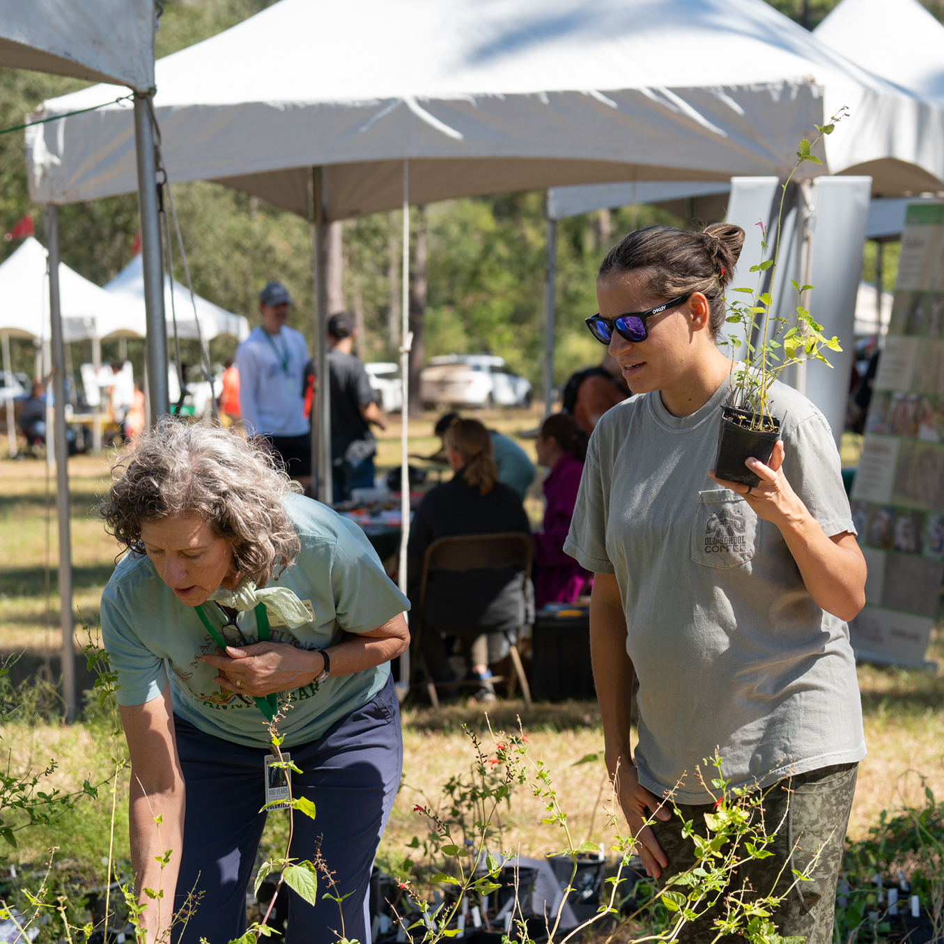 Today, community members gathered to kick off the year-long Texas state forest centennial celebration at the W.G. Jones State Forest in Conroe, Texas.